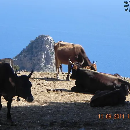 Mare2 Sardinia * 카데두