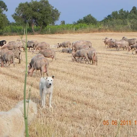 Mare2 Sardinia * 카데두